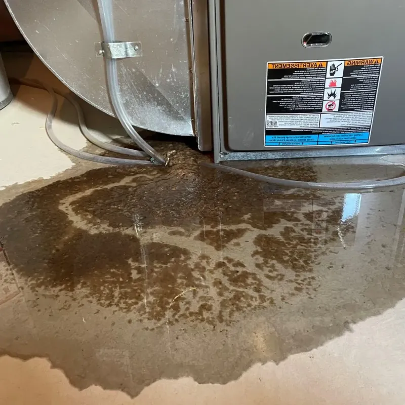 Pipe Burst and Leak Restoration in Brooks, KY